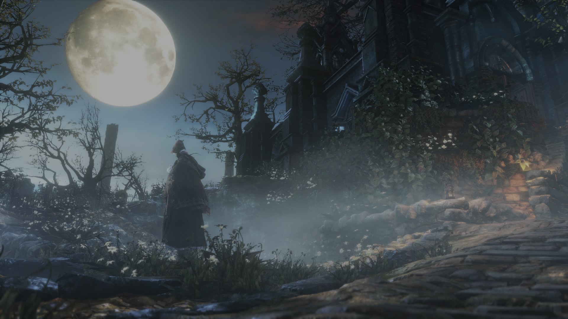 Moon