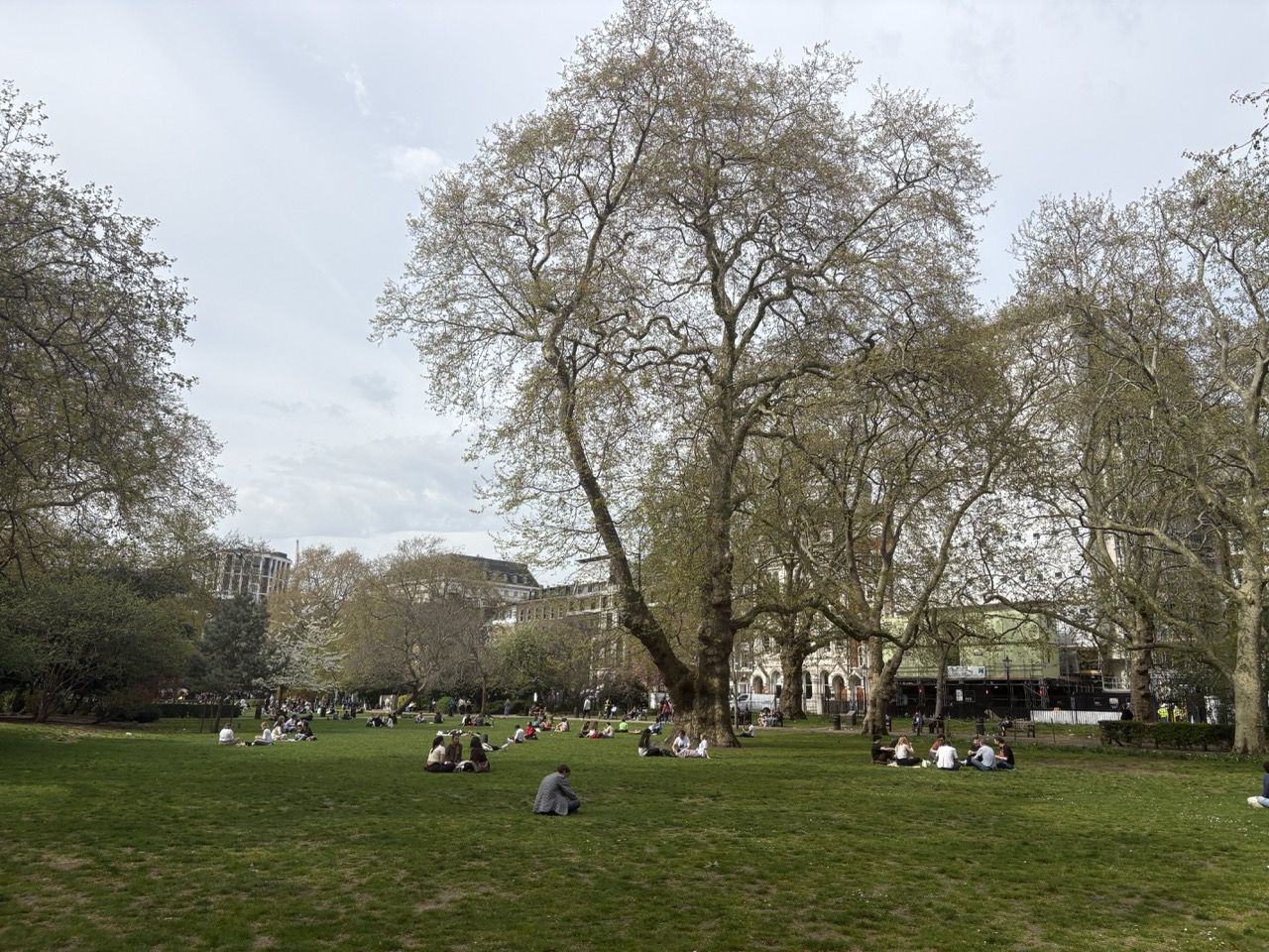 park